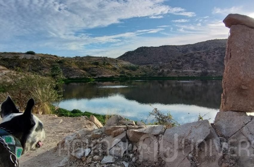  Apilar piedras: una moda peligrosa para el medio ambiente