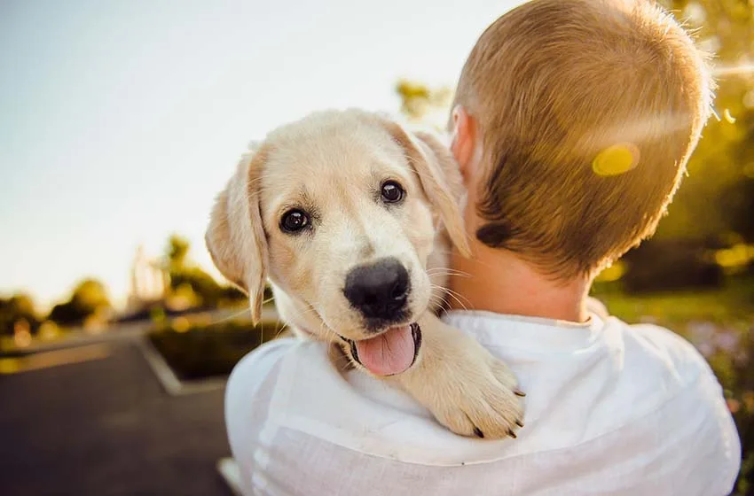 ¿Qué te quiere decir tu perro?