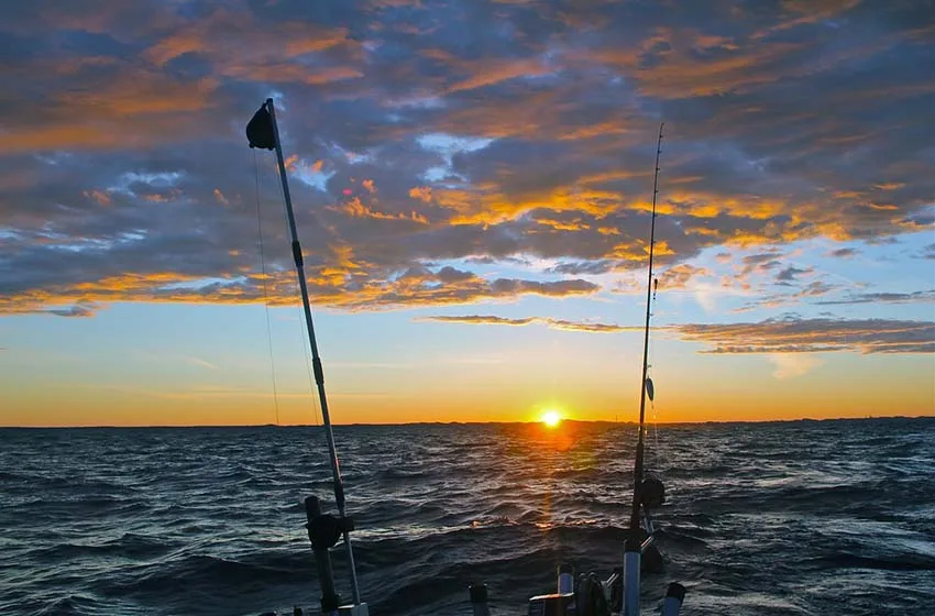  ¿Qué es la pesca deportiva?