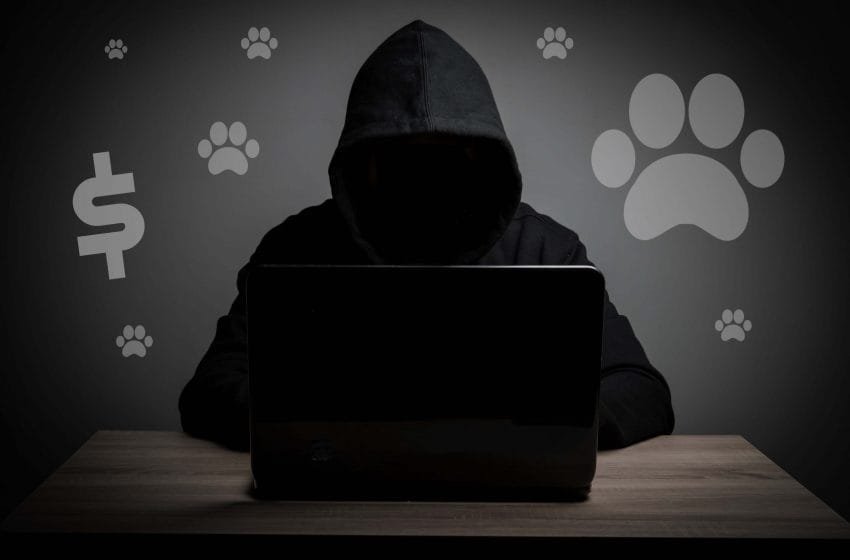  Nueva forma de extorsión en Los Cabos