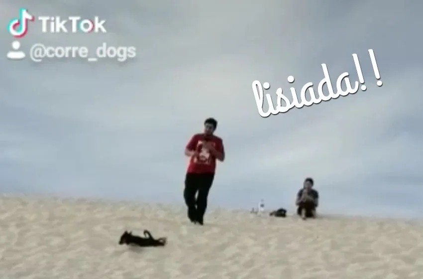  Perrita se hace la lisiada