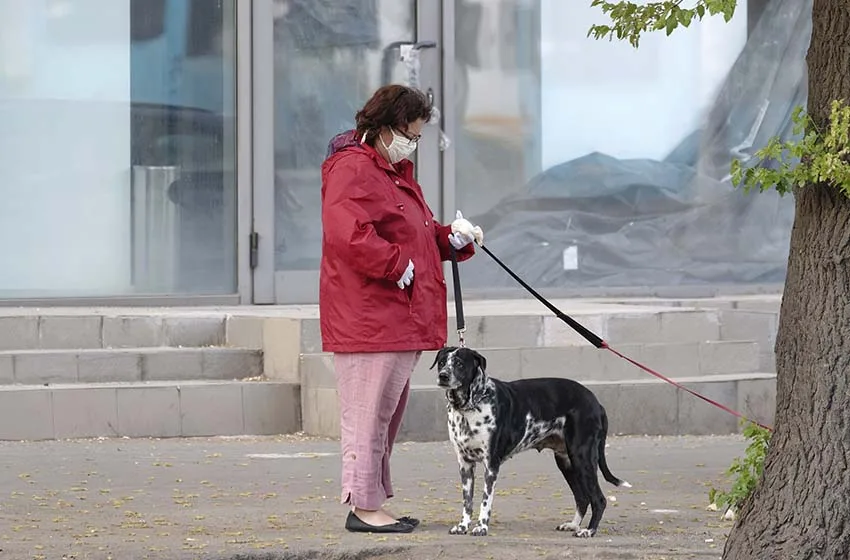  Beneficios de hacer ejercicio con tu mascota