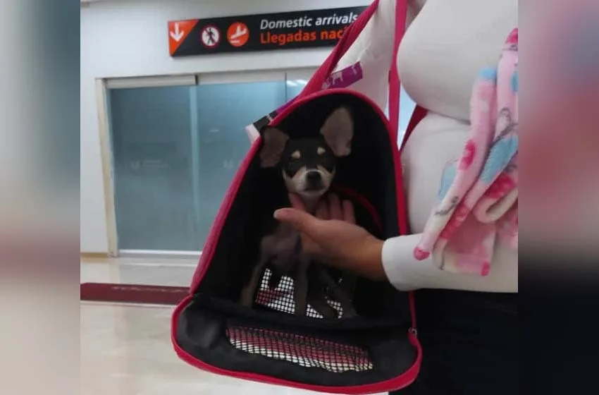 primer turista