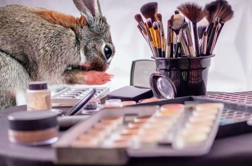  No más pruebas cosméticas con animales