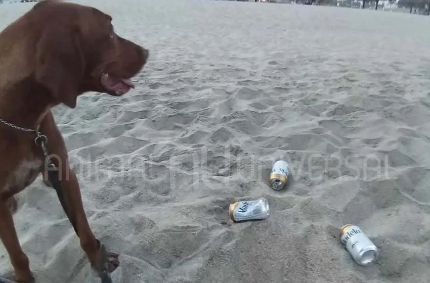  Regresando a la normalidad y ya ensuciando las playas