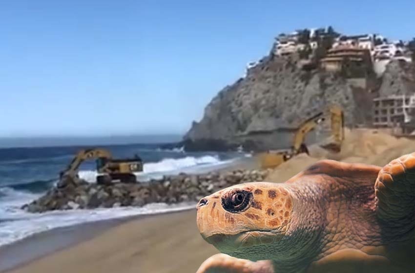  Hotel construye en zona de anidación de tortugas