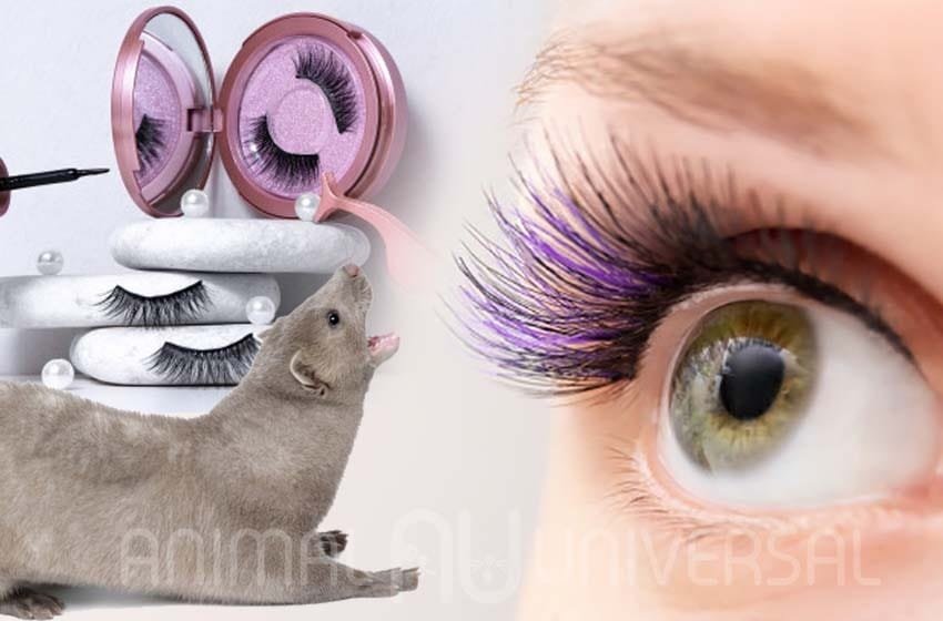  Sephora deja de producir pestañas hechas de pelo de Mink