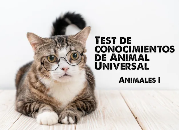 testanimalesI1